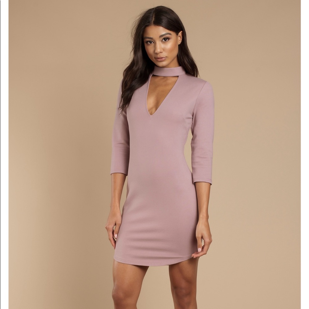 NWT Tobi Bodycon Rose Dress